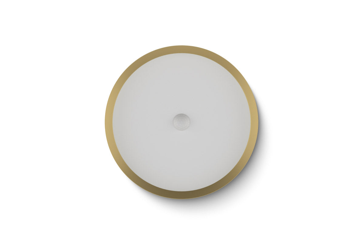 LED Ceiling Light RGBW Tree
