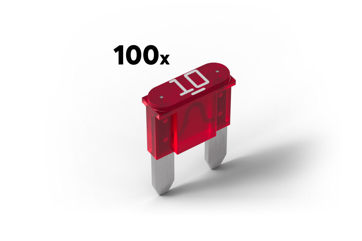 Sicherung 10A für Power Supply & Backup (100Stk.)