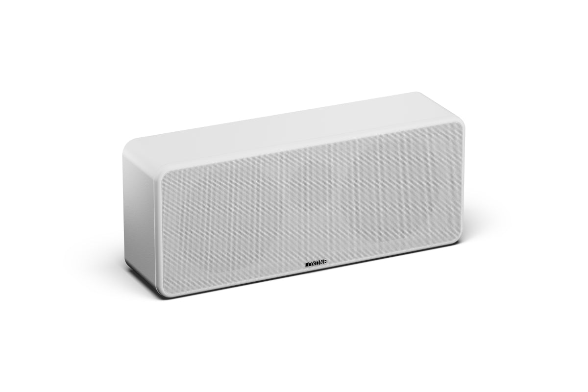 WALL Speaker