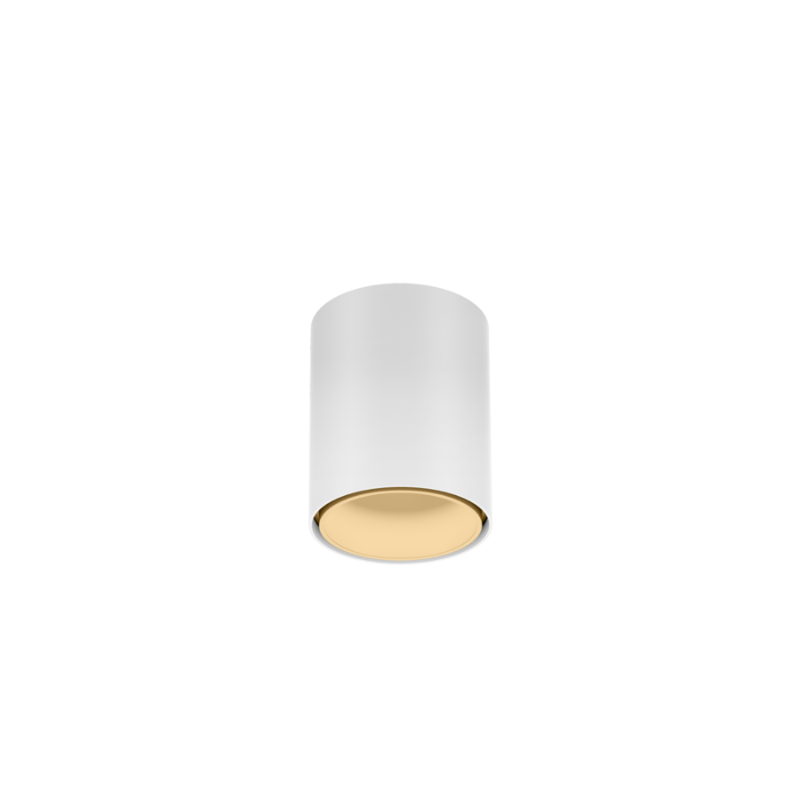 RAY MINI CEILING SURF 1.0 Loxone