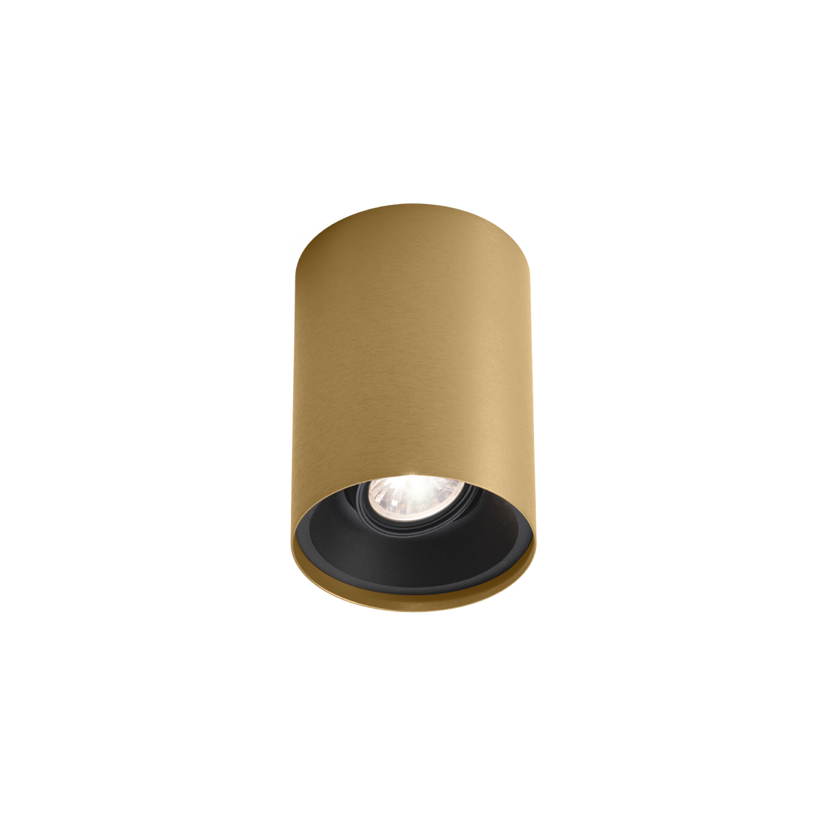 SOLID CEILING SURF 1.0 Loxone in Champagner / Mattschwarz