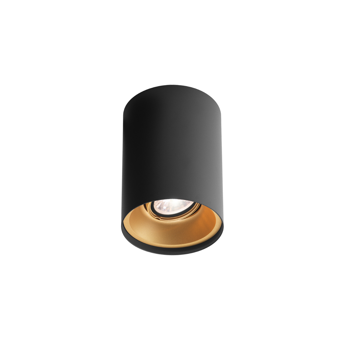 SOLID CEILING SURF 1.0 Loxone in Mattschwarz / Gold