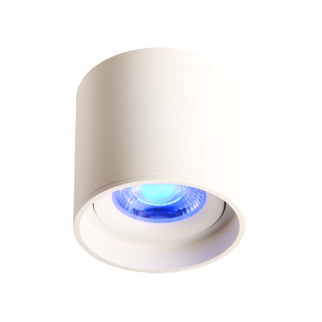 LED Ceiling Spot 24V, 8W, Dim to Warm, CRI90