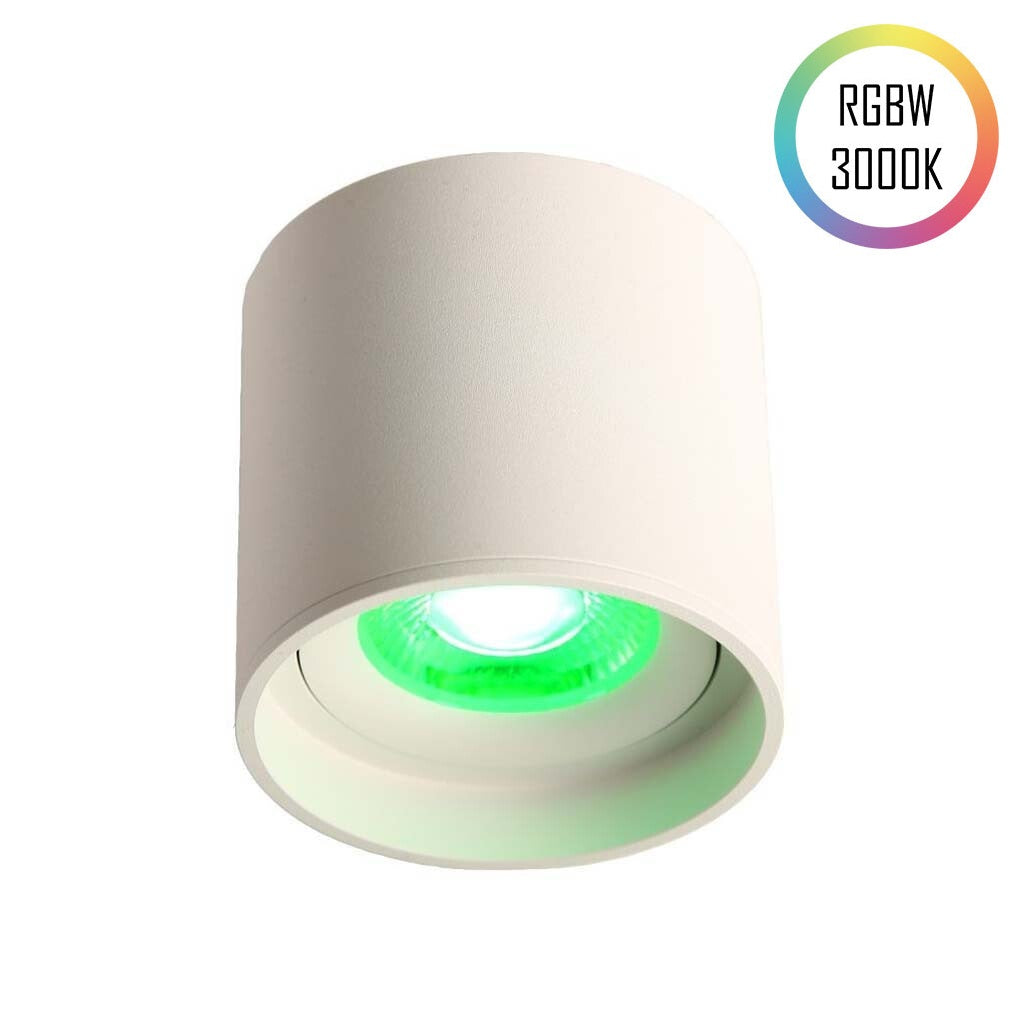 LED Ceiling Spot 24V, 8W, RGBW/3000K, CRI90