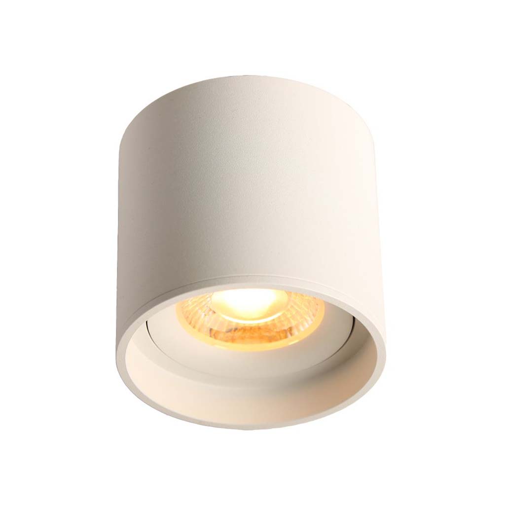 LED Ceiling Spot 24V, 8W, RGBW/3000K, CRI90